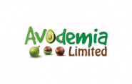 Avodemia